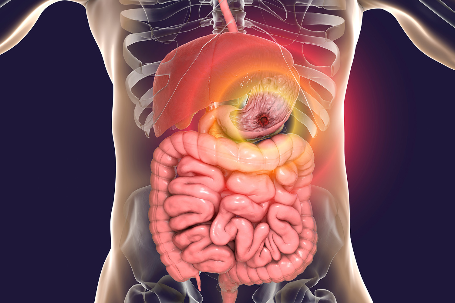 Gastroenterology Care